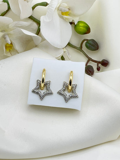 Vip Çok Taşlı Küpe